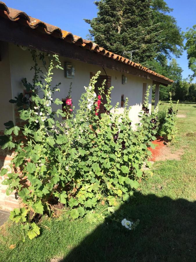 Location Gite 4 Personnes Mazeres - La Petite Maison Exteriör bild