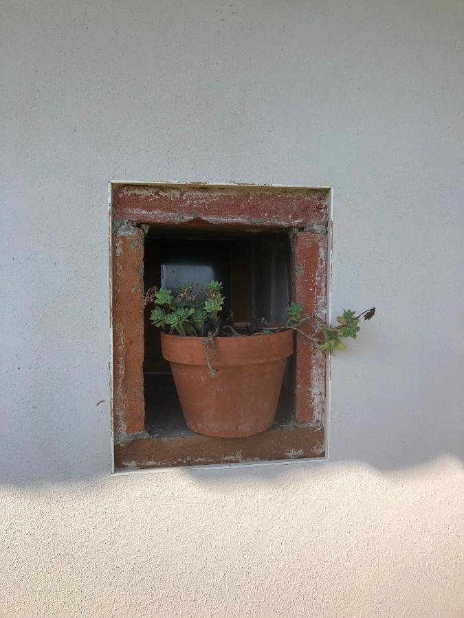Location Gite 4 Personnes Mazeres - La Petite Maison Exteriör bild