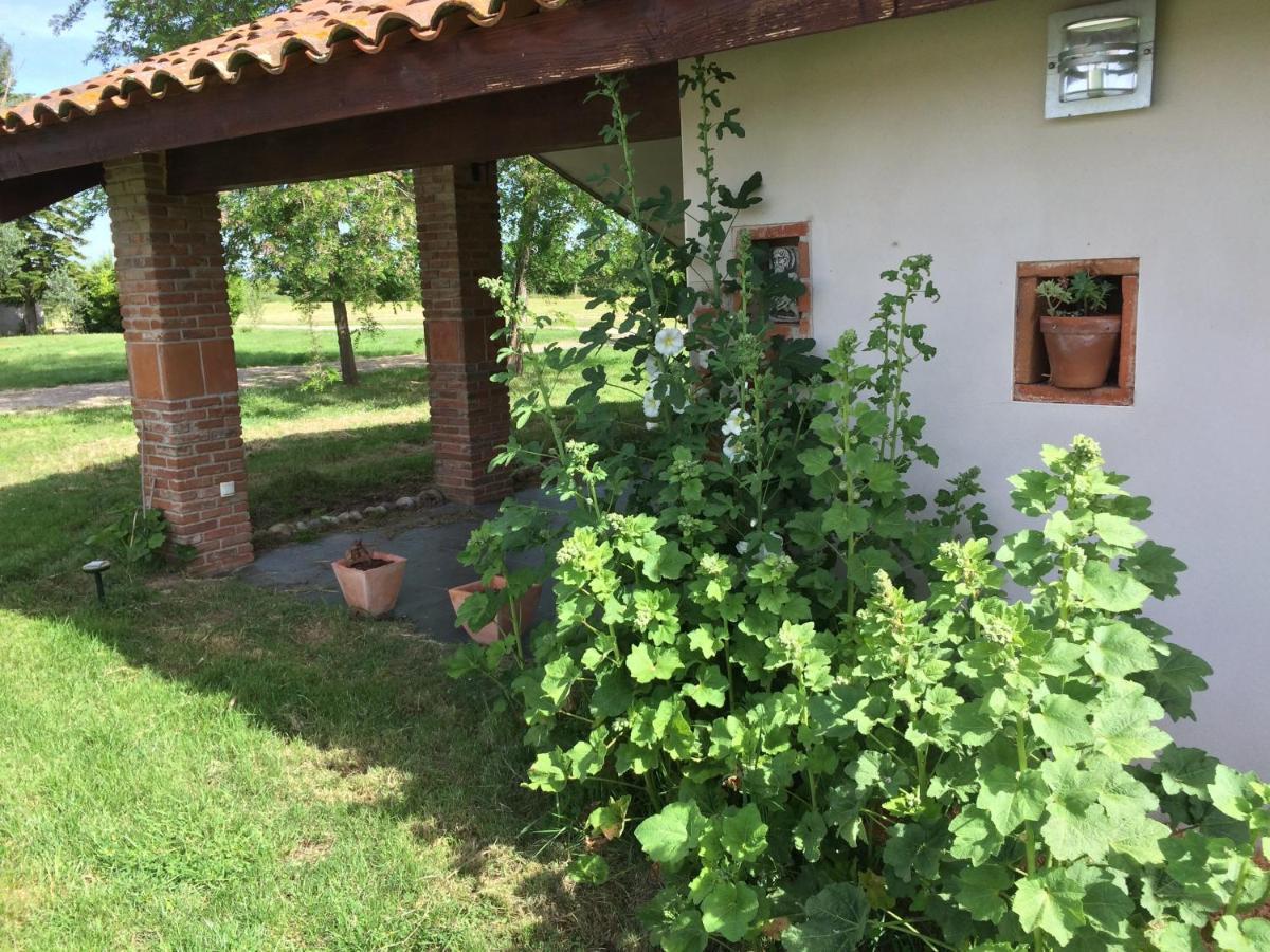 Location Gite 4 Personnes Mazeres - La Petite Maison Exteriör bild