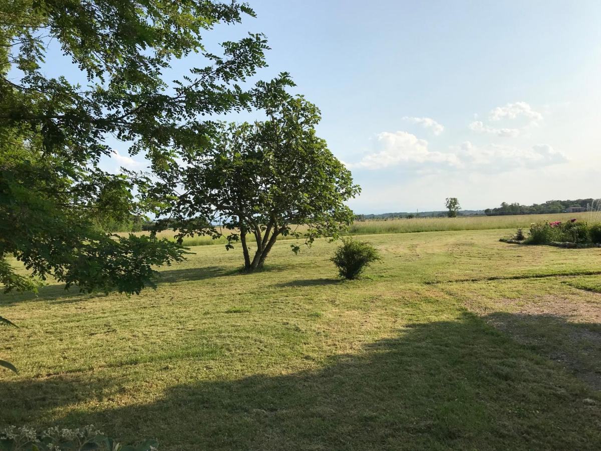 Location Gite 4 Personnes Mazeres - La Petite Maison Exteriör bild