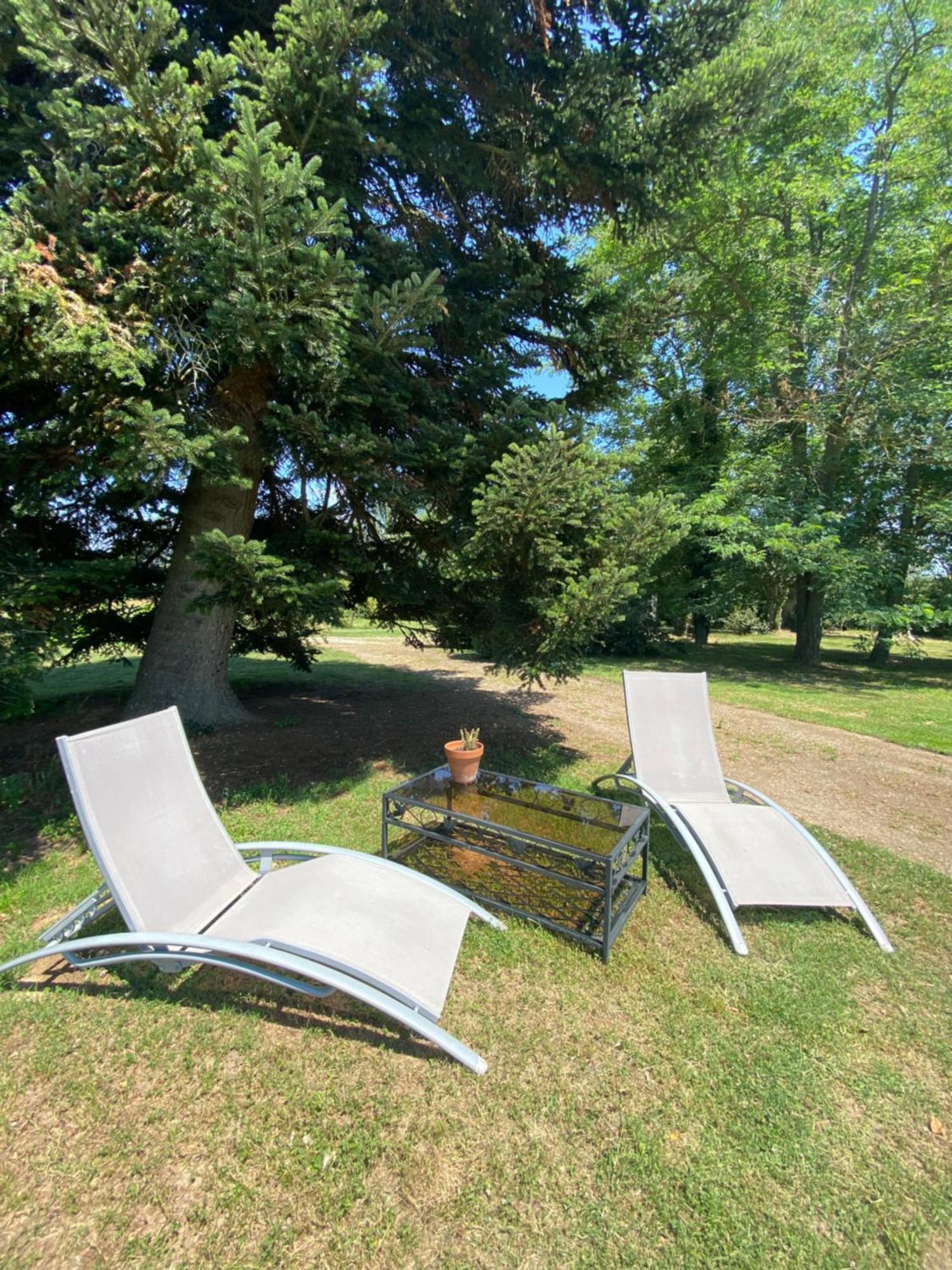 Location Gite 4 Personnes Mazeres - La Petite Maison Exteriör bild